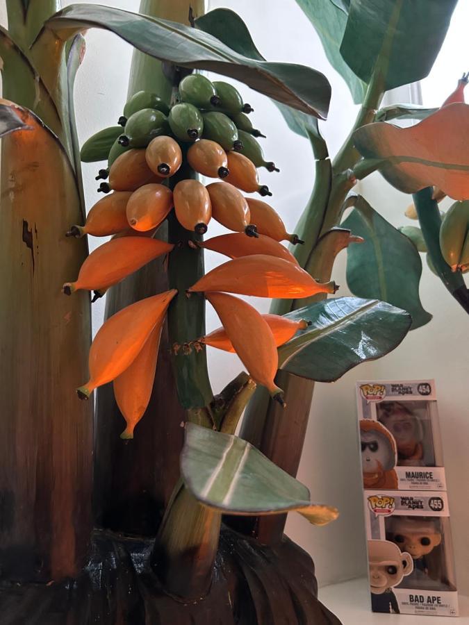 Monkey Tree *